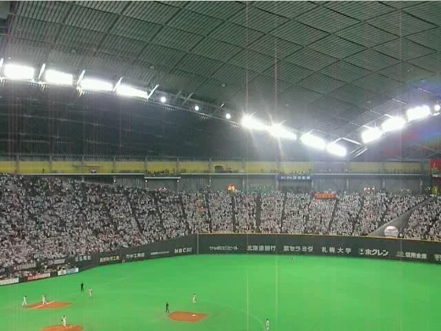 三塁側内野席とレフトスタンドの風景