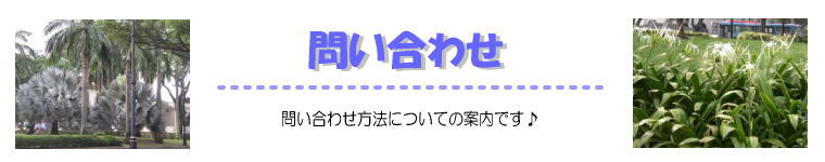 問い合わせ