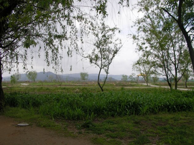 薯童公園（宮南池）の木々