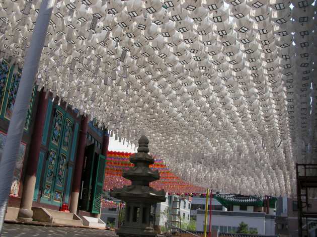 曹渓寺の白い提灯