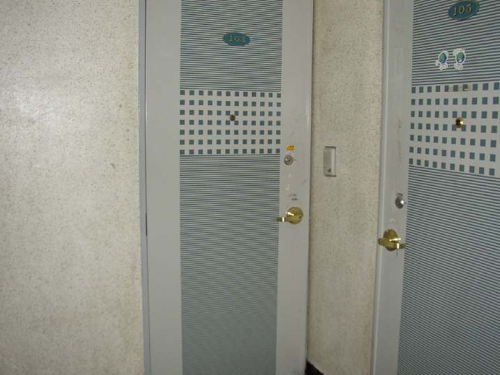 ソウルタワービレッジ（seoultowervill）・103号室のドア