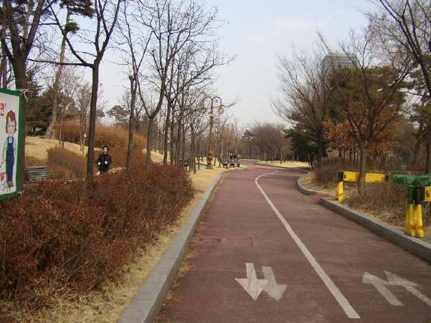 汝矣島公園（ヨイドパーク）の自転車道路