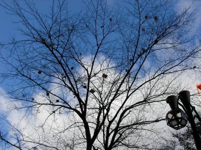 木に引っ掛かっている紙吹雪