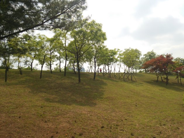 公園の外側の歩道から撮影した上洞湖公園