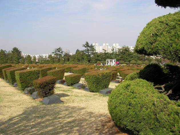 墓地