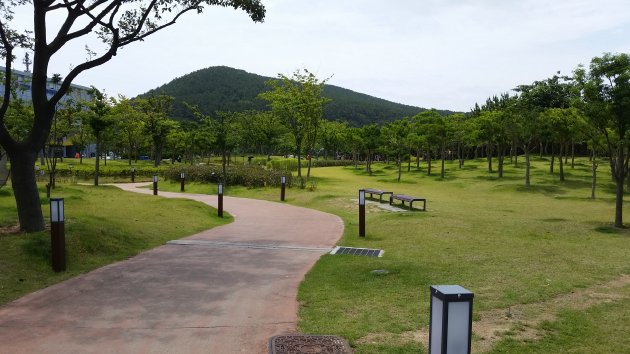 多大浦海辺公園の散策路