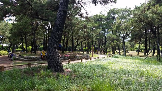 eパラン公園内の風景