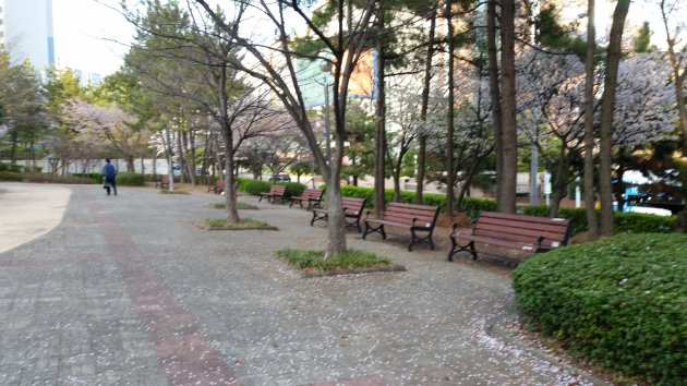 ウスムヌリ公園内の風景