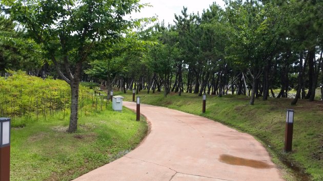 多大浦海辺公園の木々