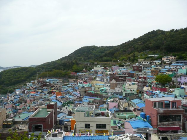 展望台から見える風景