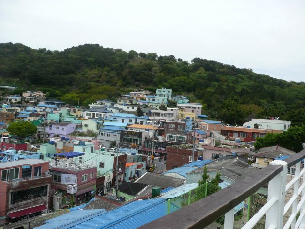 展望台から見える風景