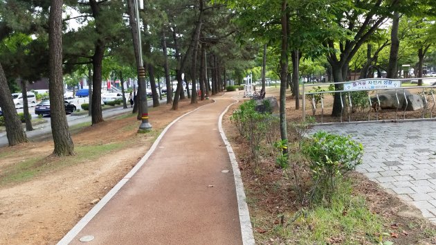 龍池文化公園の散策路