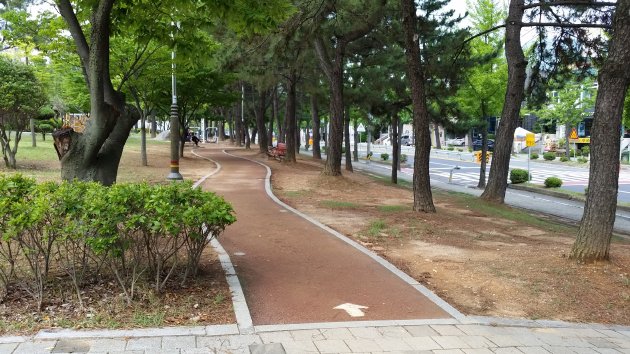 龍池文化公園の散策路