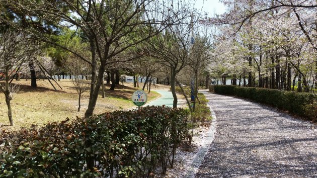 春に撮影したテウォンレジャースポーツ公園の風景