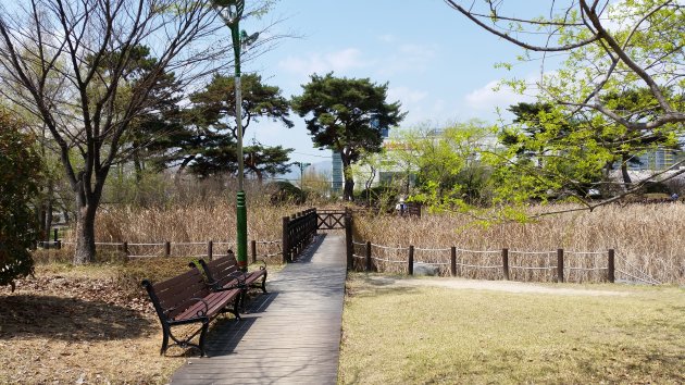 春のラムサール生態公園