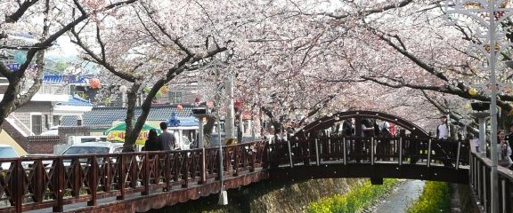 余佐川（ロマンス橋）