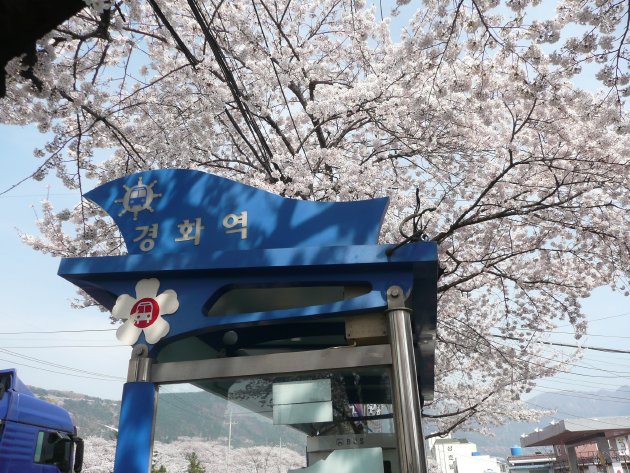 市内バス「慶和駅」停留所
