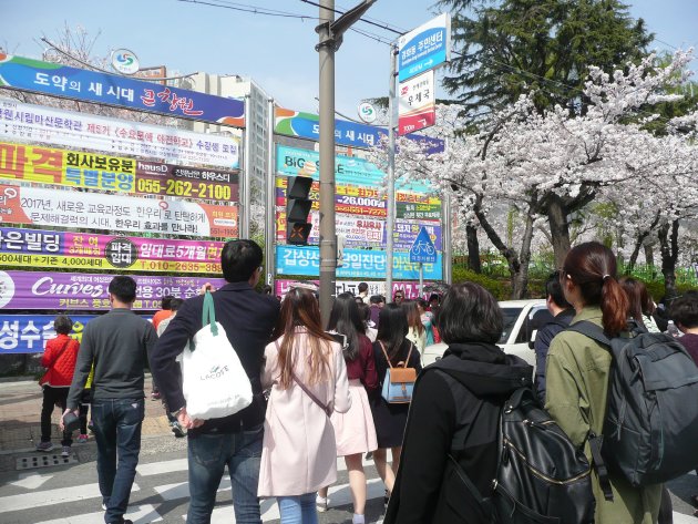 慶和駅桜通りへ向かう人々