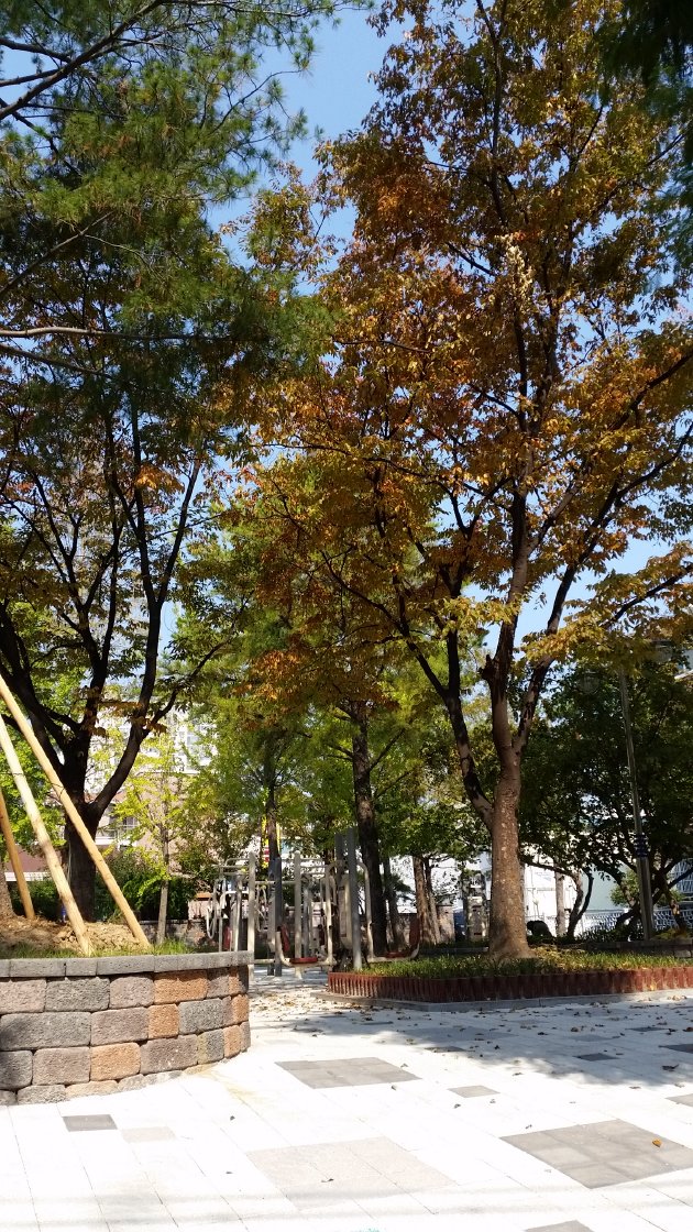 三政公園内の風景