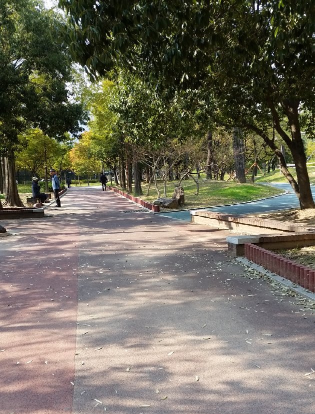 コブッ公園内の風景