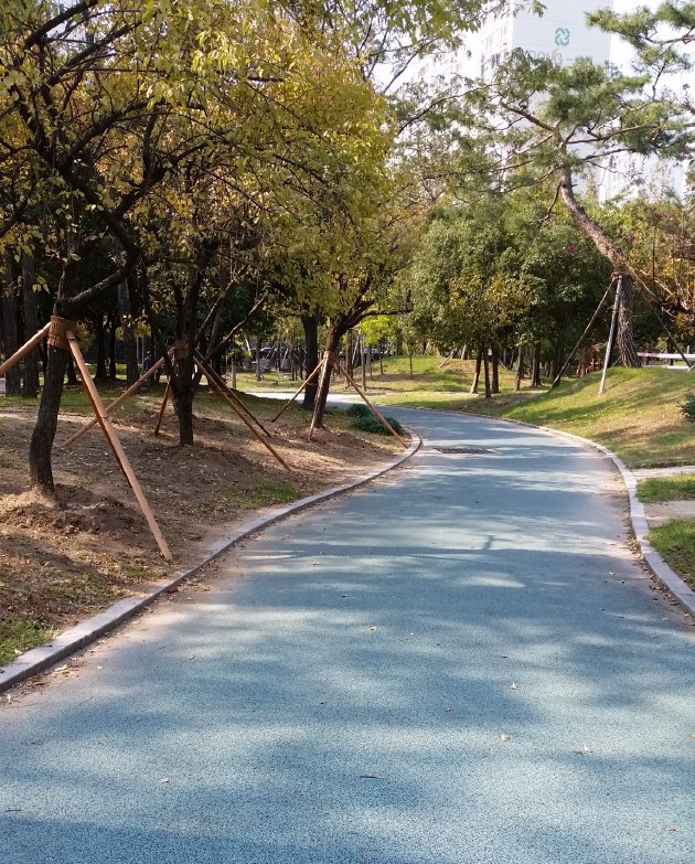 コブッ公園の散策路