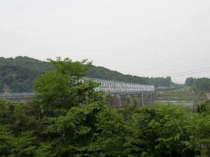 自由の橋