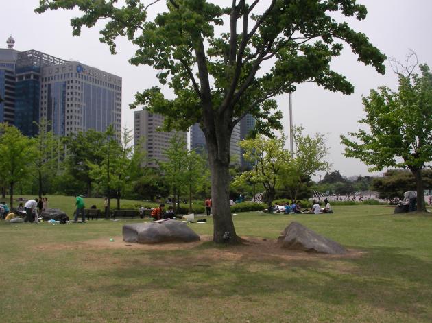 汝矣島公園（ヨイドパーク）の風景1