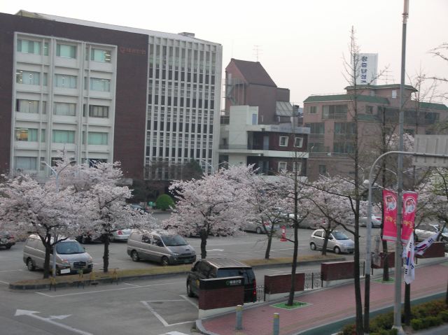 泰光産業周辺