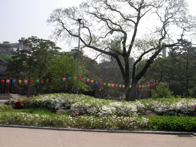 タプコル公園内の風景