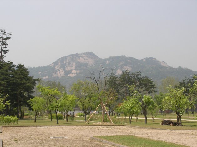 木々で生い茂っている景福宮内の風景