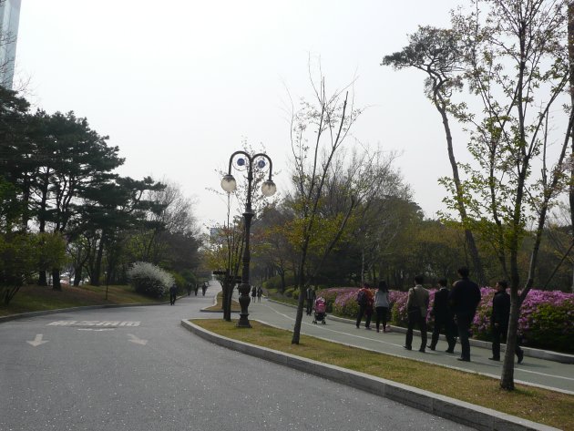 汝矣島公園内の風景