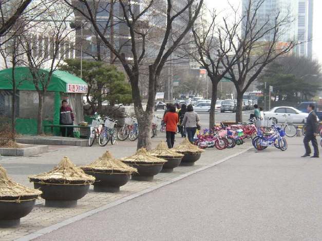 汝矣島公園（ヨイドパーク）内にあるレンタサイクルショップ