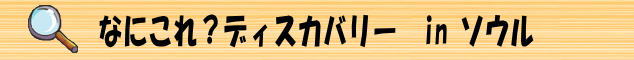 なにこれ？ディスカバリー　in ソウル