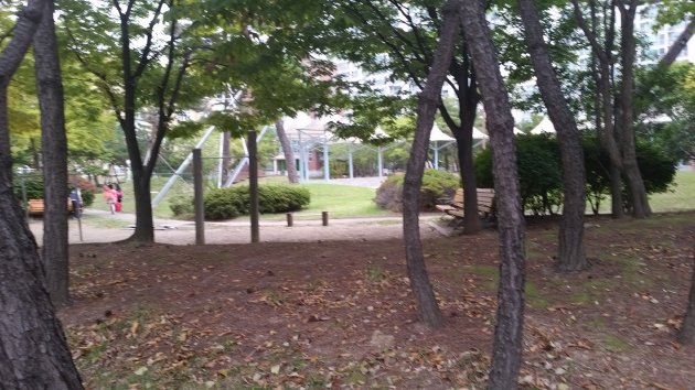 園内にある鉄棒
