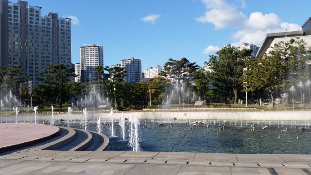 音楽噴水ショーの模様