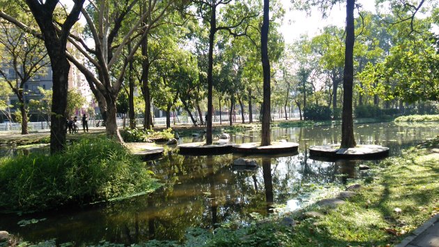 大東公園内にある池