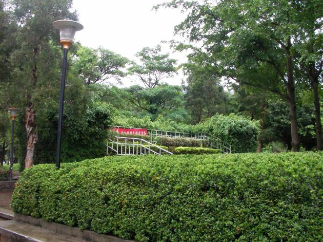 中正路の歩道から撮影した園内の風景