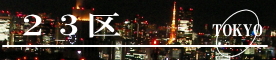 23区の夜景